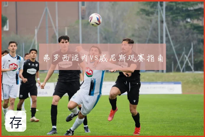 弗罗西诺内vs威尼斯观赛指南